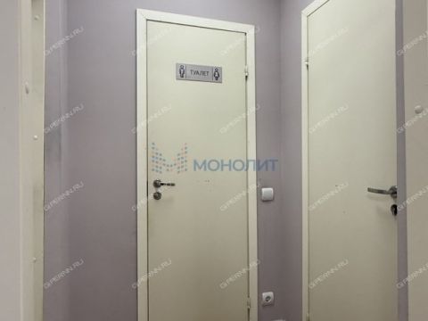 ul-izhorskaya-d-18 фото