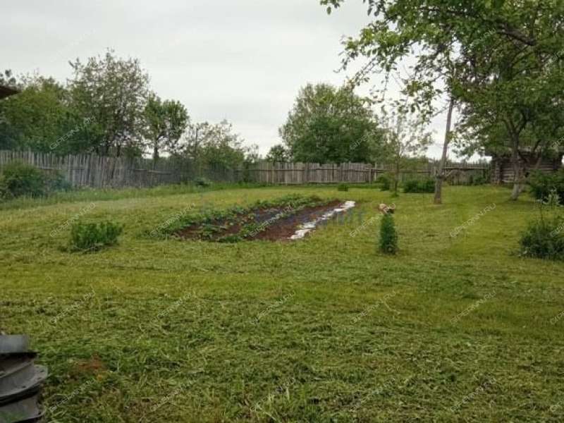 земельный участок 48,51 сотки улица 40 лет Победы деревня Пияичное