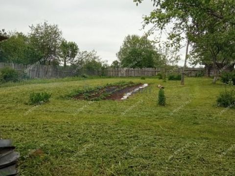 derevnya-piyaichnoe-sosnovskiy-rayon фото