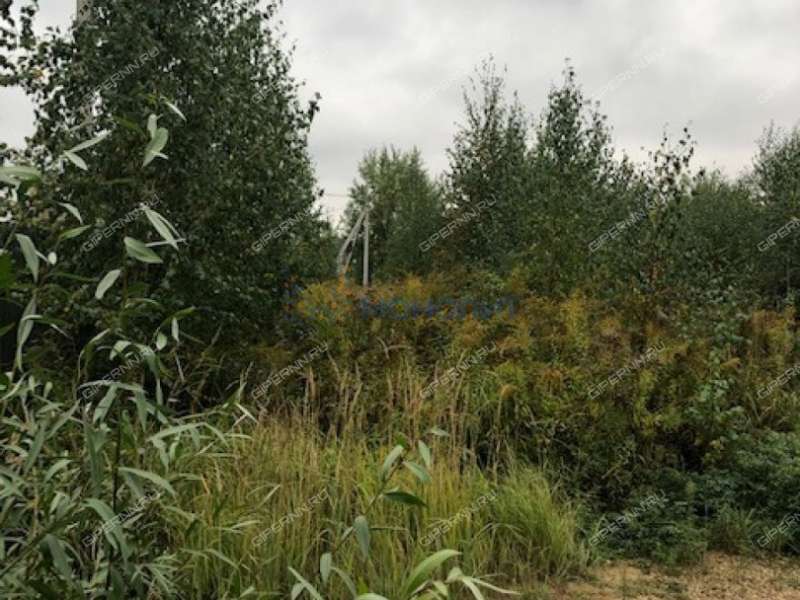 земельный участок под сельхоз назначение в Кстовском районе Нижегородской области