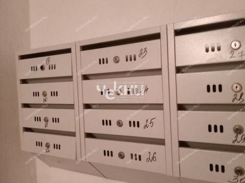 1-komnatnaya-gorod-gorodec-gorodeckiy-rayon фото