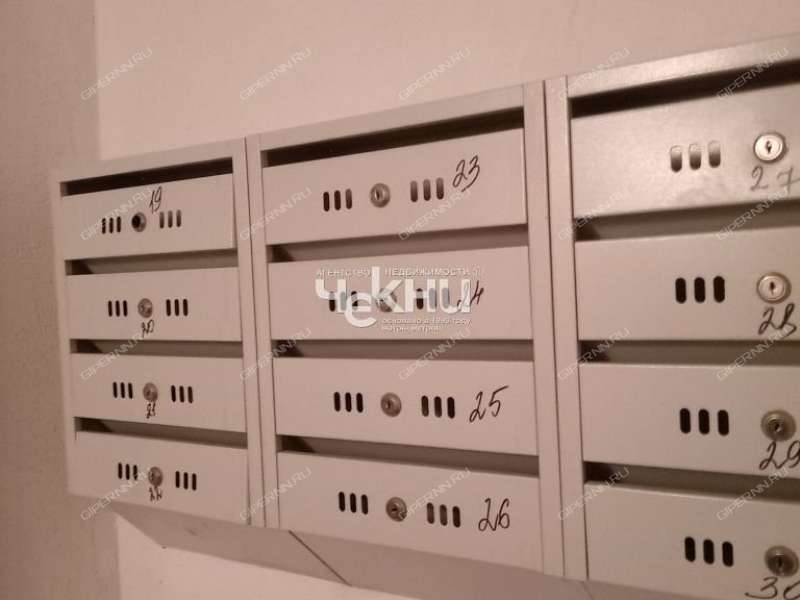 однокомнатная квартира на Счастливой улице дом 14 город Городец