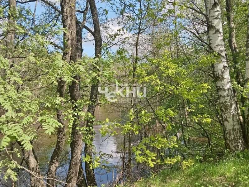 земельный участок 63 сотки деревня Дубрава