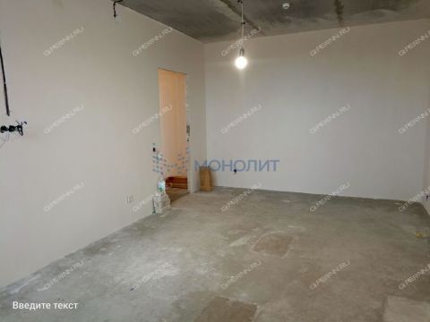 2-komnatnaya-gorod-kstovo-kstovskiy-rayon фото