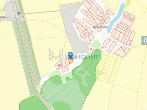 derevnya-terentevo-gorodeckiy-rayon фото