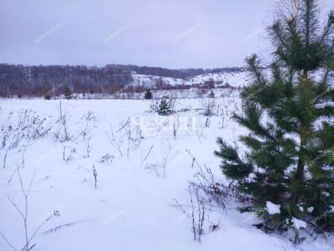 poselok-mirnyy-bogorodskiy-municipalnyy-okrug фото