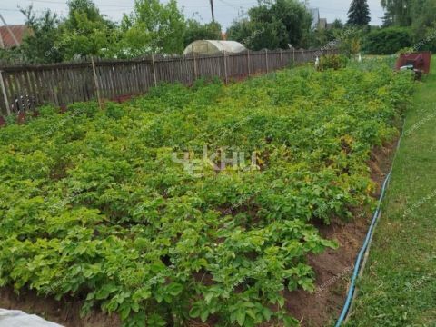 dacha-gorod-gorodec-gorodeckiy-rayon фото