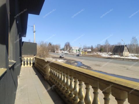 derevnya-maloe-chuhovo-gorodskoy-okrug-chkalovsk фото