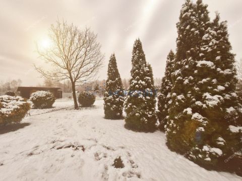 dom-derevnya-vatoma-gorodskoy-okrug-bor фото