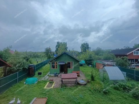 dom-sk-baltika фото