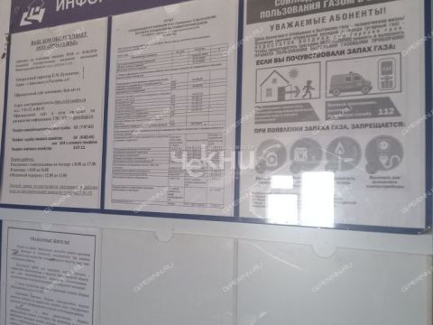 1-komnatnaya-gorod-zavolzhe-gorodeckiy-rayon фото