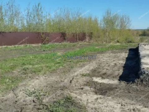 selo-revezen-perevozskiy-gorodskoy-okrug фото