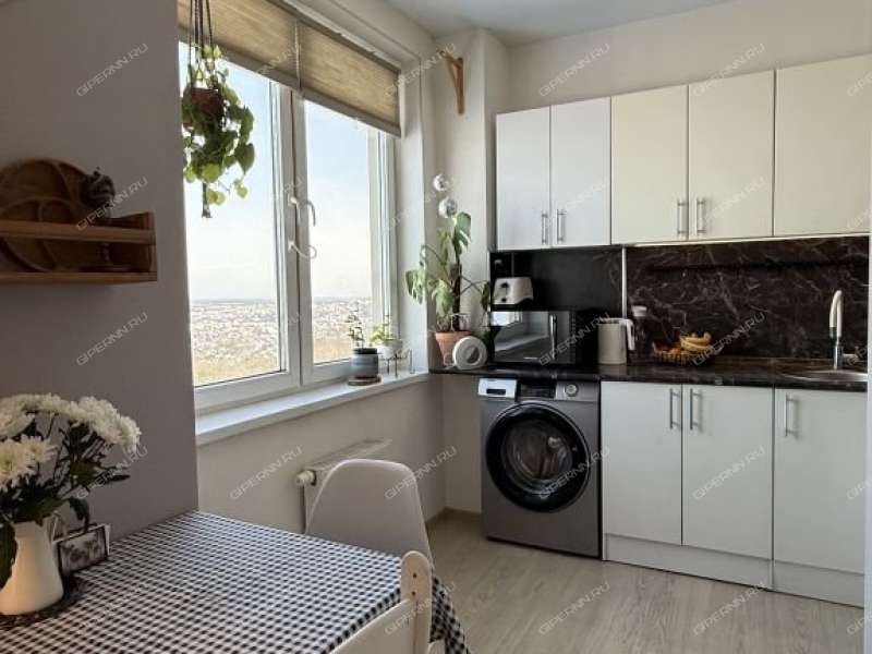 двухкомнатная квартира на Русской улице улице дом 7 деревня Анкудиновка