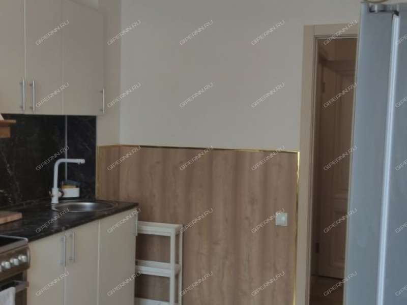 двухкомнатная квартира на Русской улице улице дом 7 деревня Анкудиновка