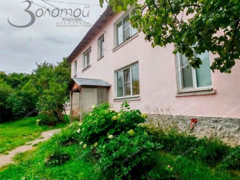 2-komnatnaya-poselok-okskiy-bogorodskiy-municipalnyy-okrug фото