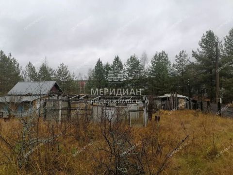 moskovskiy-rayon фото