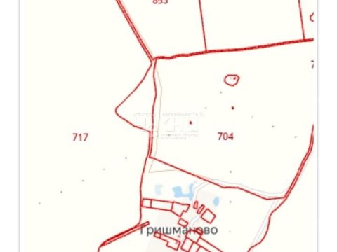 derevnya-grishmanovo-kovriginskiy-selsovet-gorodeckiy-rayon фото