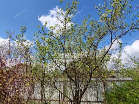 dacha-snt-sokol-sad-n1-snt-sokol-sad-1 фото