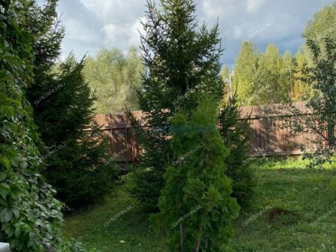 dom-derevnya-berezovka-bogorodskiy-municipalnyy-okrug фото