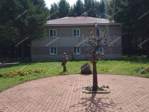 derevnya-hmelevka-sokolskiy-gorodskoy-okrug фото