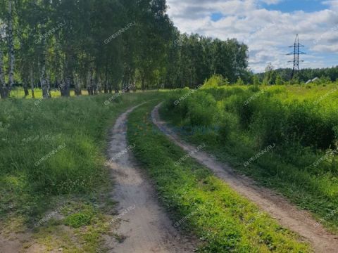 selo-ostankino-gorodskoy-okrug-bor фото