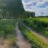 земельный участок 9 соток - село Останкино