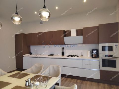 taunhaus-sl-verhnepecherskaya-d-118-1 фото