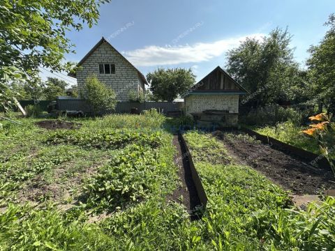 dacha фото