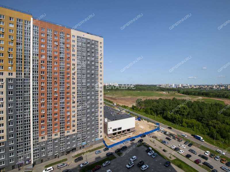 трёхкомнатная квартира на Русской улице улице дом 9 деревня Анкудиновка