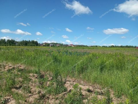 derevnya-burcevo-bogorodskiy-municipalnyy-okrug фото