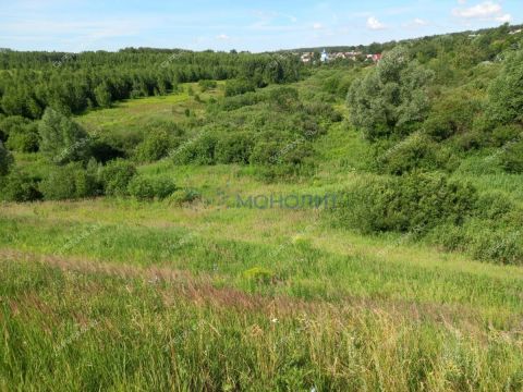 selo-doskino-bogorodskiy-municipalnyy-okrug фото