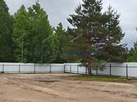 dom-derevnya-pokrovskoe-semenovskiy-gorodskoy-okrug фото