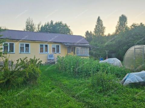 dacha-gorod-balahna-balahninskiy-municipalnyy-okrug фото