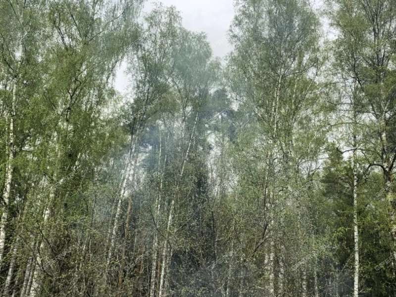 дача на снт Магистраль рабочий посёлок Лукино