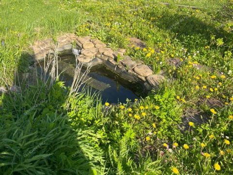 dacha-derevnya-temryashino-gorodskoy-okrug-bor фото