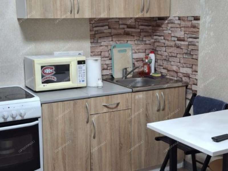 однокомнатная квартира на улице Романтиков дом 6