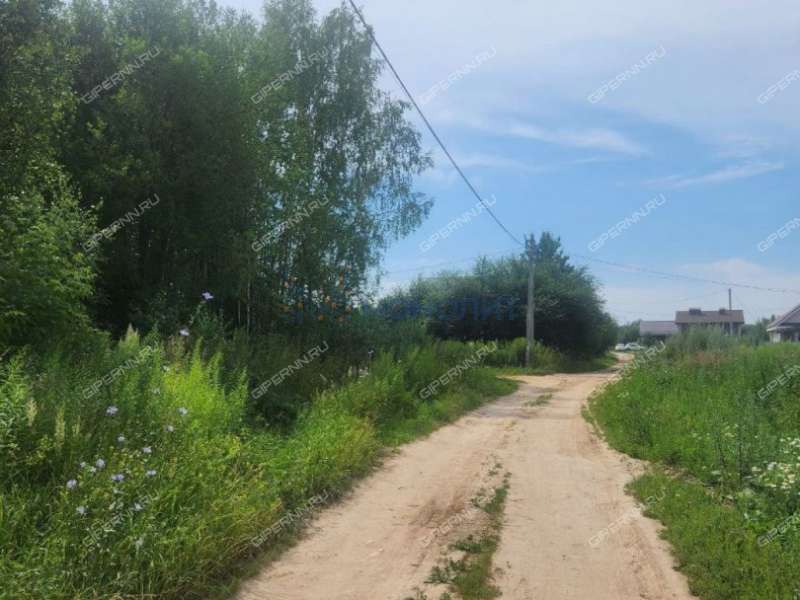 земельный участок 30 соток Вишневая улица село Шелокша