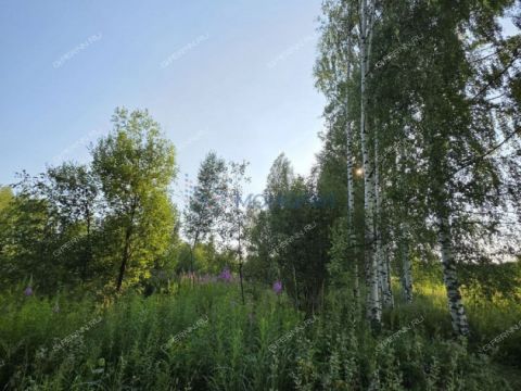 selo-yakovlevka-diveevskiy-municipalnyy-okrug фото