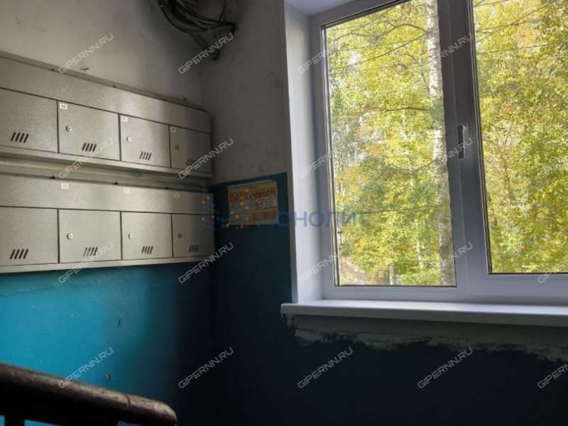 трёхкомнатная квартира на Снежной улице дом 29 к1