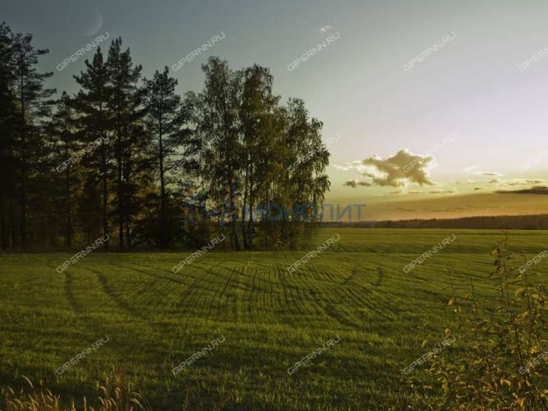 земельный участок под сельхоз назначение в Дальнеконстантиновском районе Нижегородской области