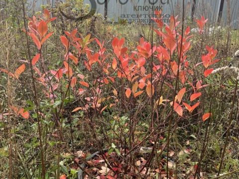 avtozavodskiy-rayon фото