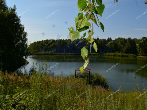 kottedzh-derevnya-burcevo-bogorodskiy-municipalnyy-okrug фото