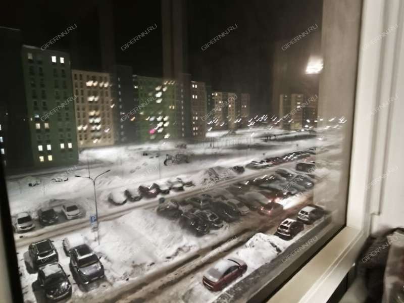 трёхкомнатная квартира на улице Бориса Видяева дом 23