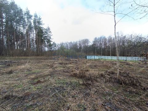 snt-stroitel-bogorodskiy-municipalnyy-okrug фото