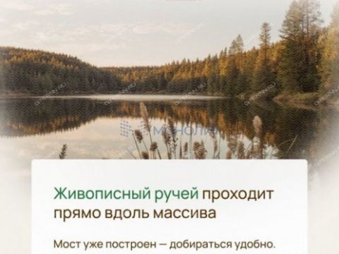 lileyniki-bogorodskiy-municipalnyy-okrug фото