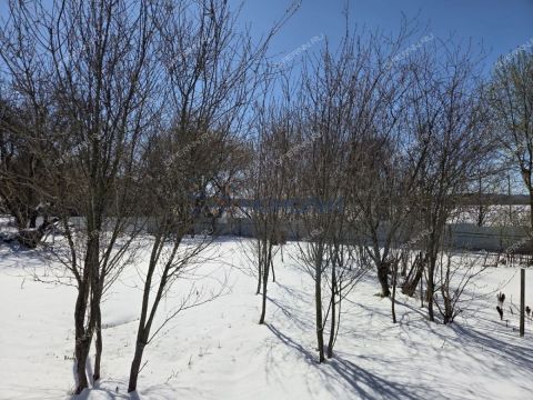 sadovodcheskoe-tovarishhestvo-himmash-1-gorodskoy-okrug-dzerzhinsk фото