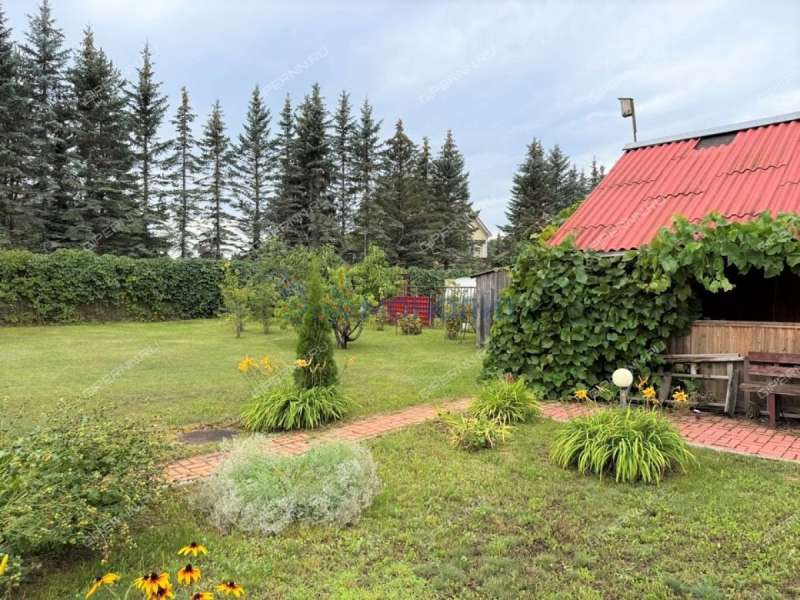 дом на улице Лесная село Останкино (Останкинский сельсовет