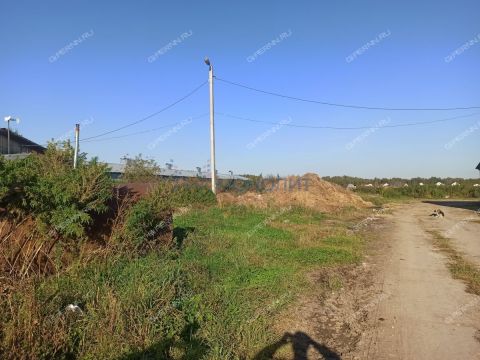 selo-redkino-gorodskoy-okrug-bor фото