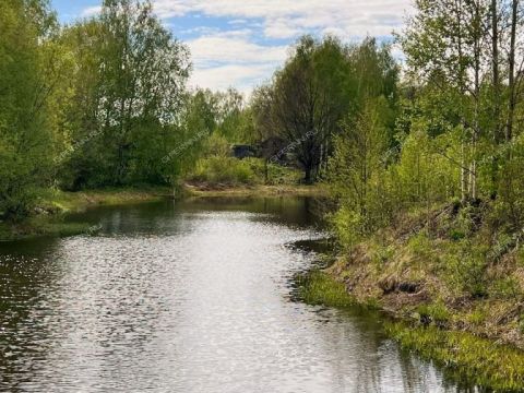 dom-derevnya-pionerskoe-gorodskoy-okrug-bor фото