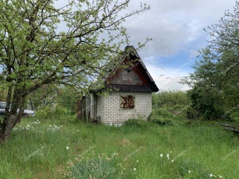 selo-bolshoe-davydovo-pavlovskiy-municipalnyy-okrug фото